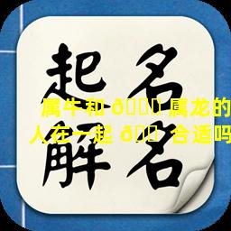 属牛和 🐈 属龙的人在一起 🐠 合适吗